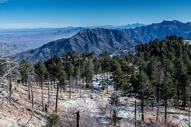 Chiricahua Mountains