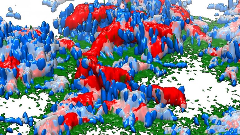 Researchers Use Bacteria From Space to Create New Biofilm