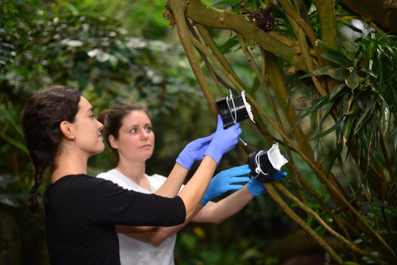 Christina Lynggaard and Kristine Bohmann Collect Air Samples at Copenhagen Zoo