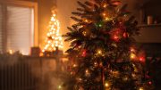 Christmas Tree Chemical Pollution