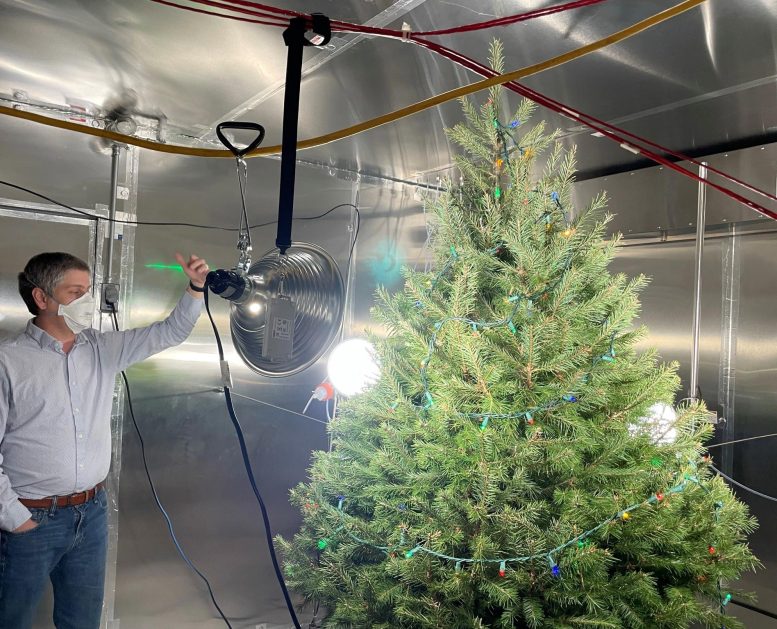 Christmas Tree NIST Research