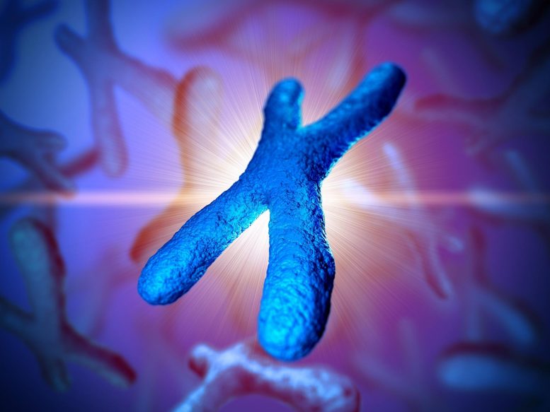 Chromosome Genetics Illustration