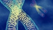 Chromosomes Detail Illustration