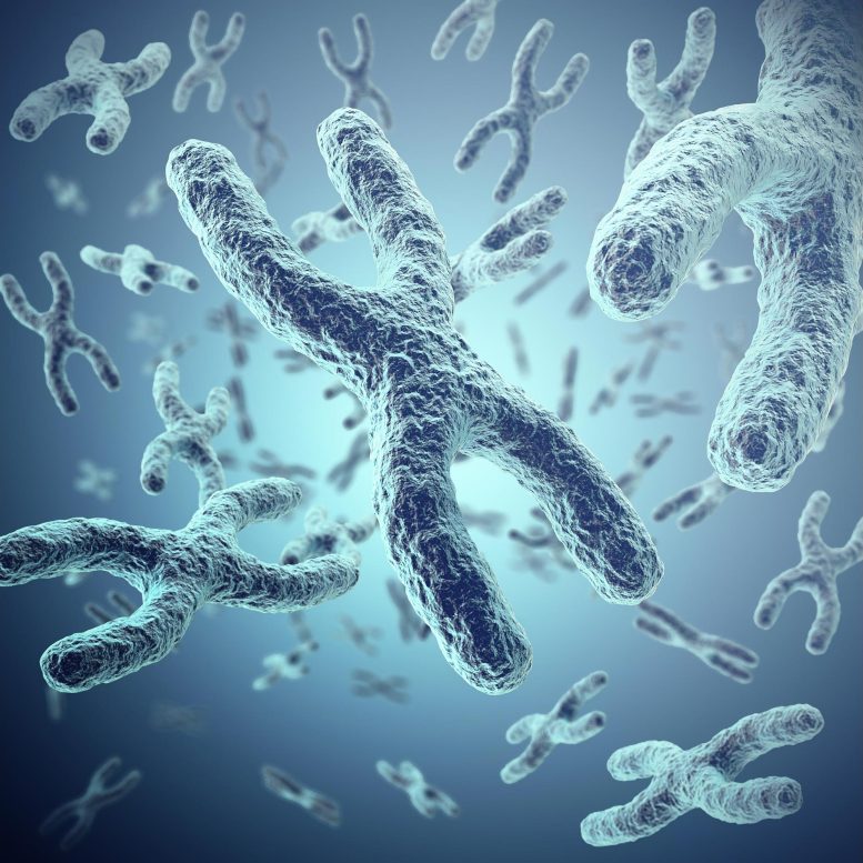 Chromosomes Illustration