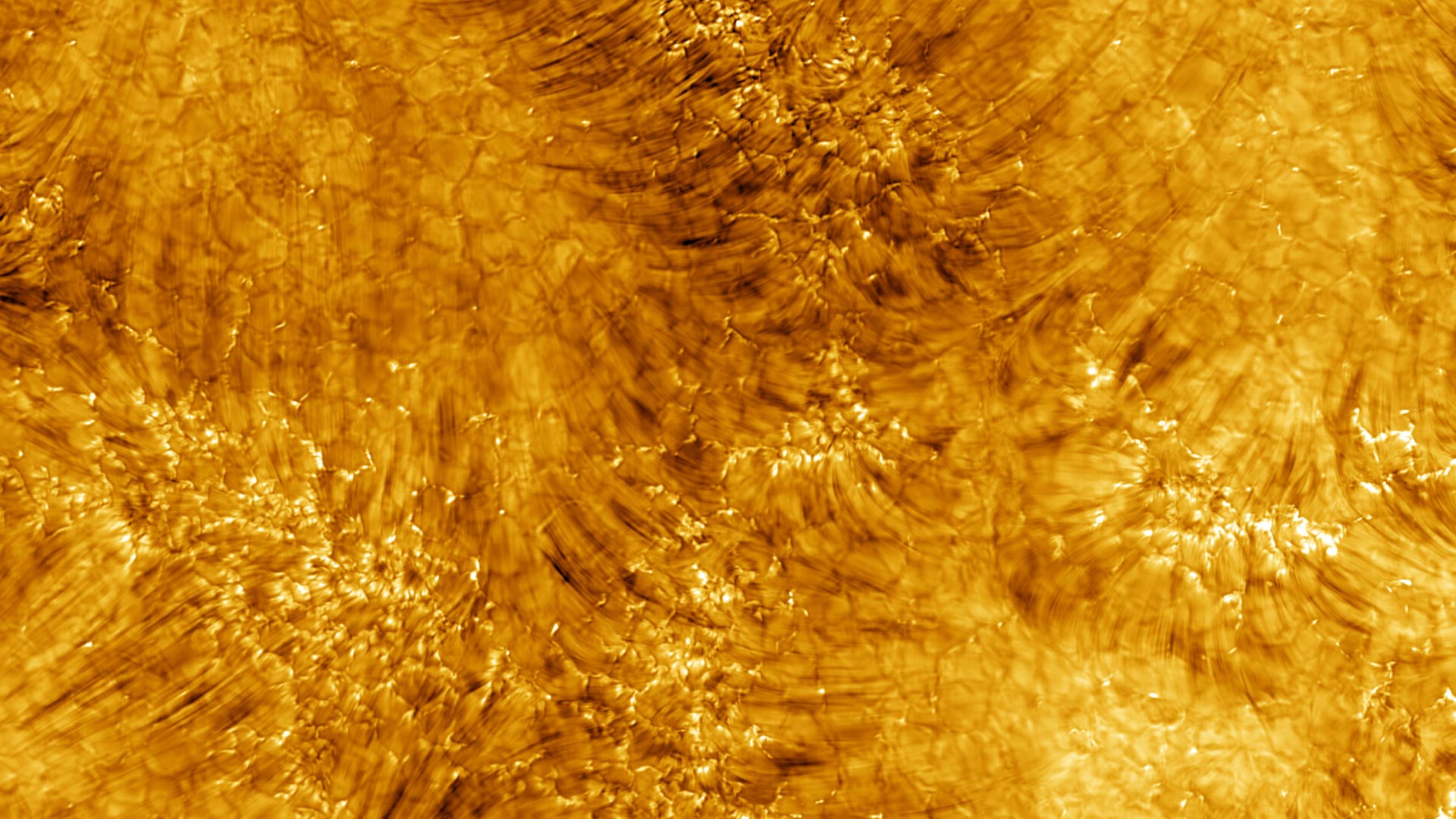 تم الكشف عن كروموسفير الشمس في صور افتتاحية مذهلة من أقوى تلسكوب شمسي في العالم