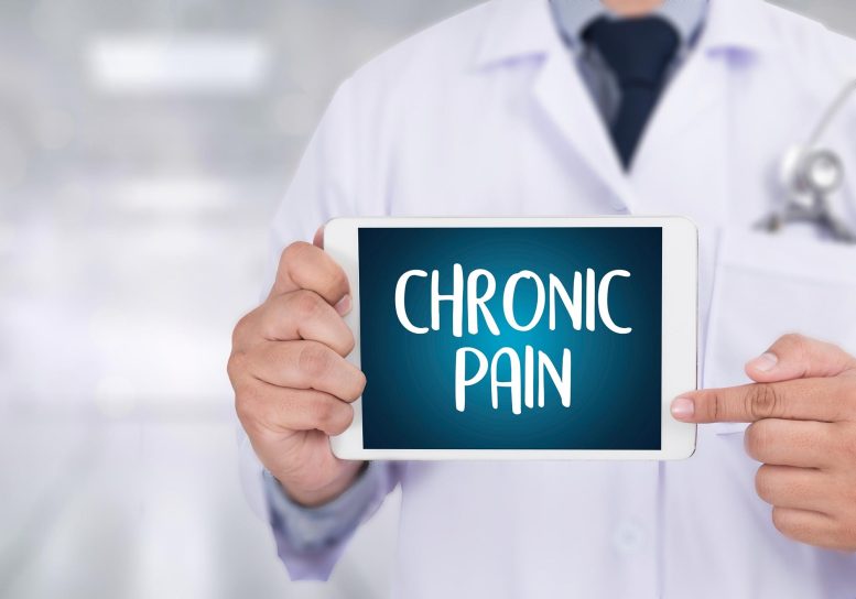 Chronic Pain Concept