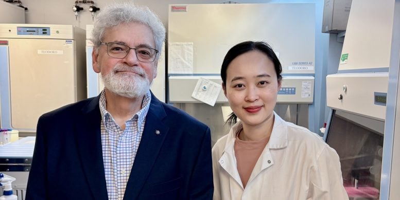 Chu Han Feng and Michel L. Tremblay