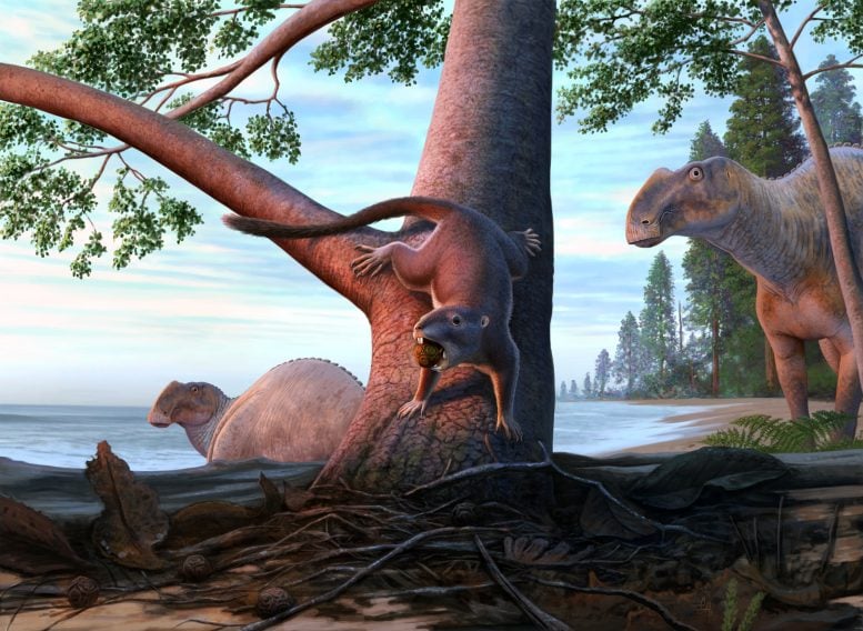 This Tiny Creature Survived a World of Dinosaurs and Changed What Came Next