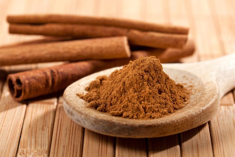 Cinnamon Sticks Ground Spoon