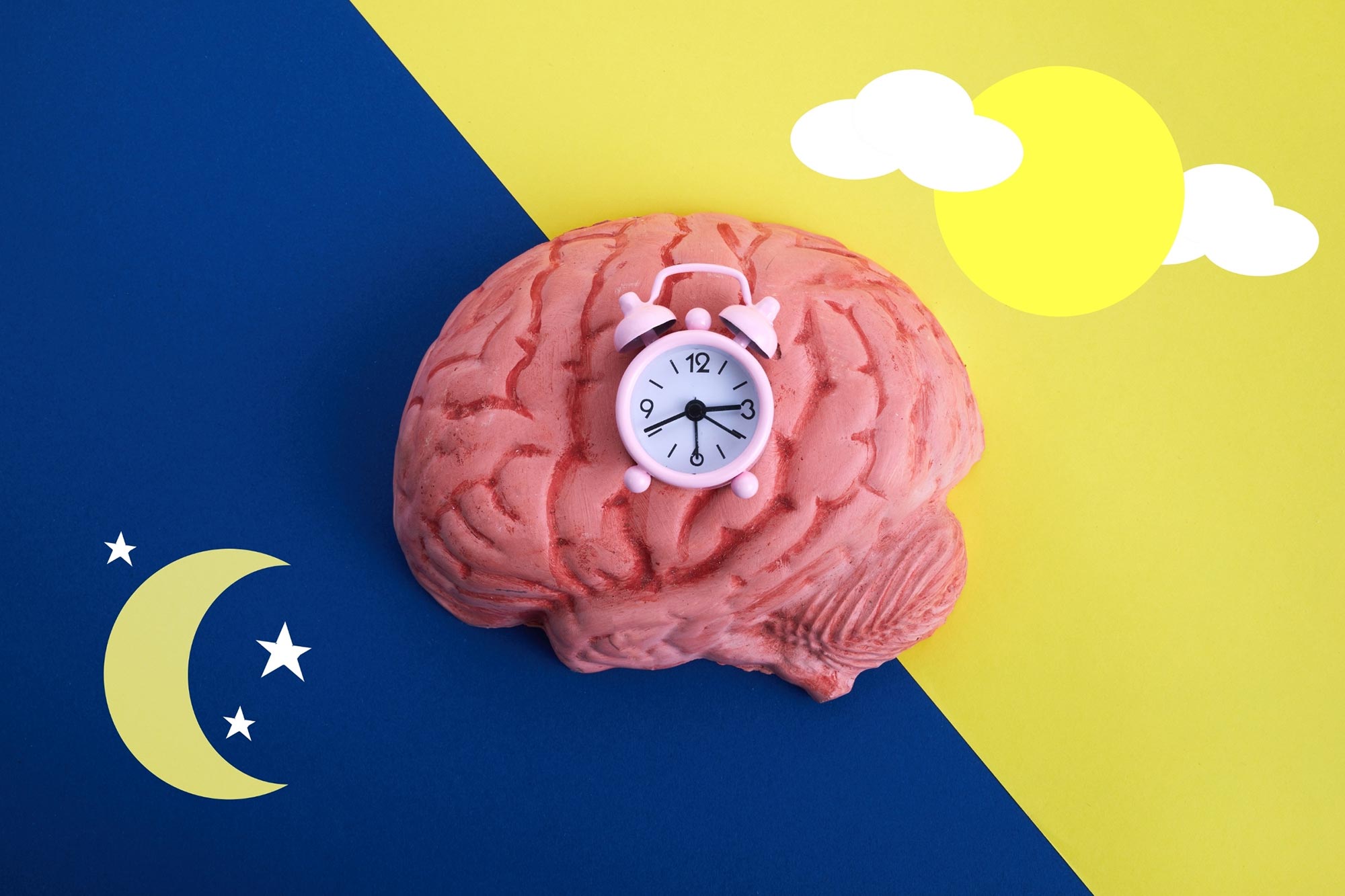 Your Body Has an Internal Clock That Dictates When You Eat, Sleep