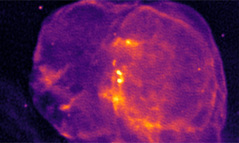 Circinus X-1 MeerKAT Radio Image