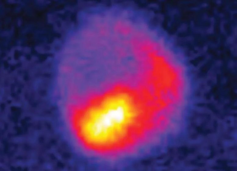 Circular Polarization of Terahertz Light by an Ultrathin Sample of Tungsten Ditelluride