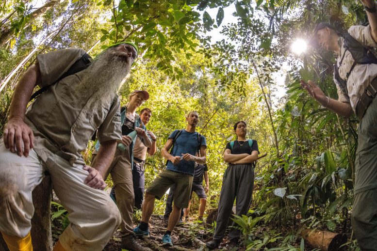 אזרחים מדענים, סטודנטים וחוקרים ביער הגשם