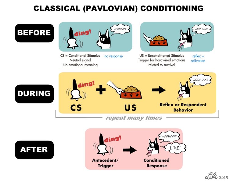 Classical (Pavlovian) Conditioning