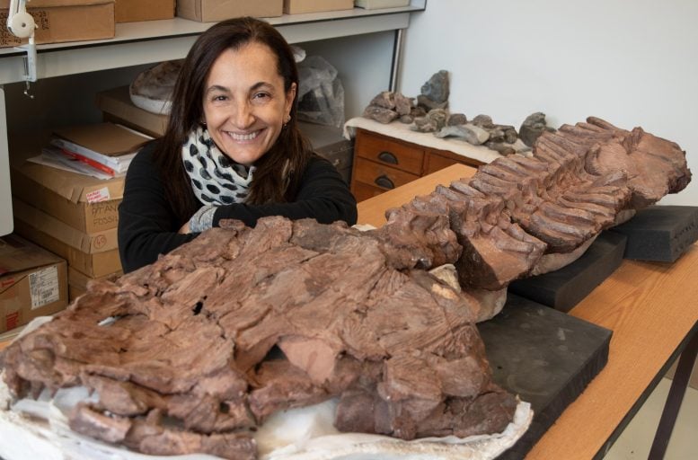 Claudia Marsicano Studying Fossil