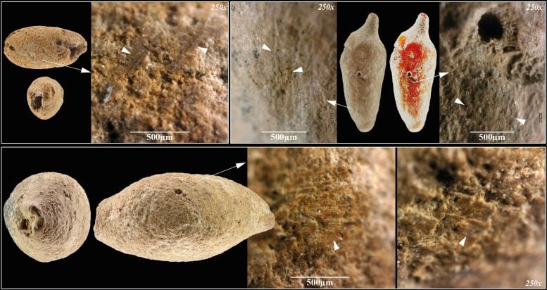 Clay Beads Found at Hayonim Terrace