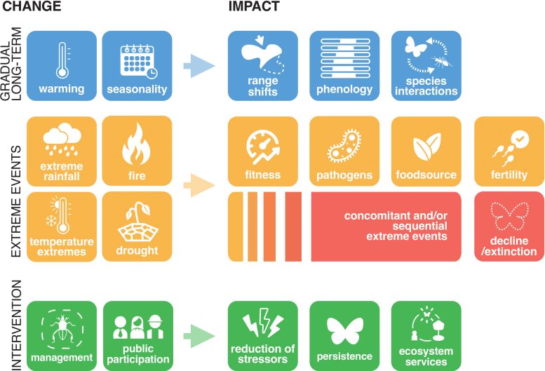Climate Change Impacts on Insects