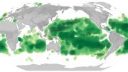 Climate Change New Ocean Color
