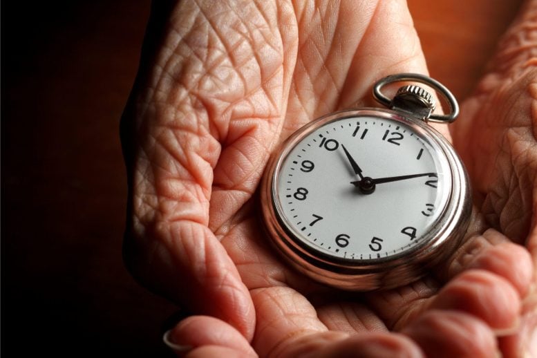 Cómo la sincronización de sus relojes internos puede aliviar el desfase horario y el envejecimiento