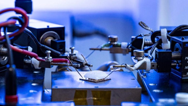 Tutup perangkat termoelektrik catur dengan pembentukan es