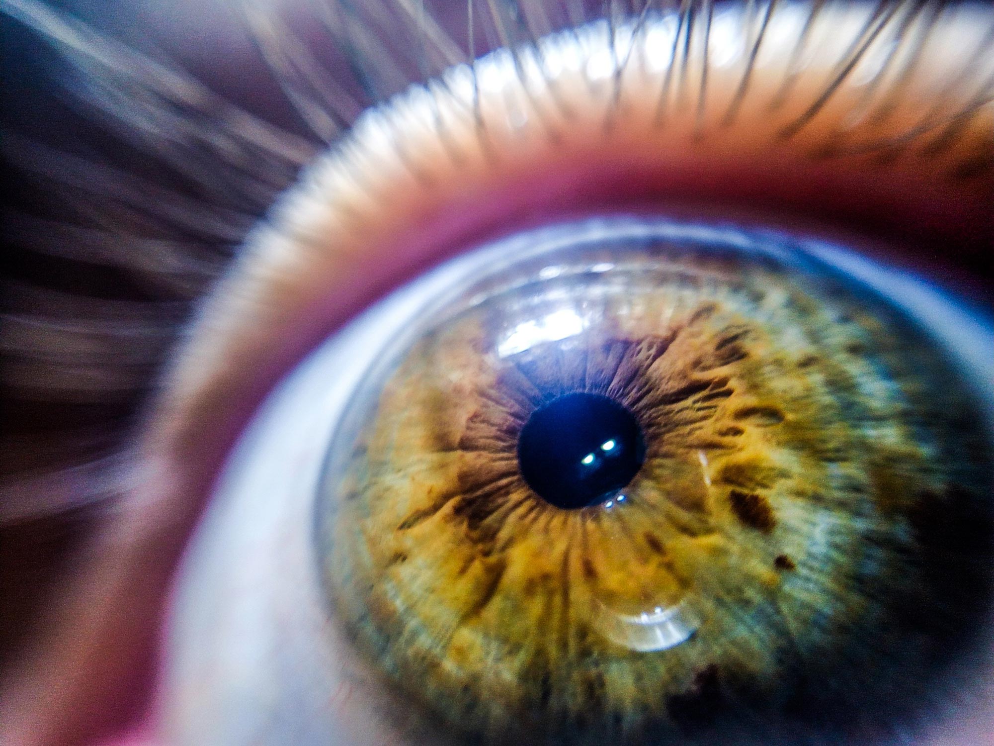 Close Up of Human Eye