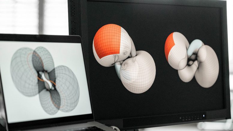 Closed Donut Like Surface Visualization