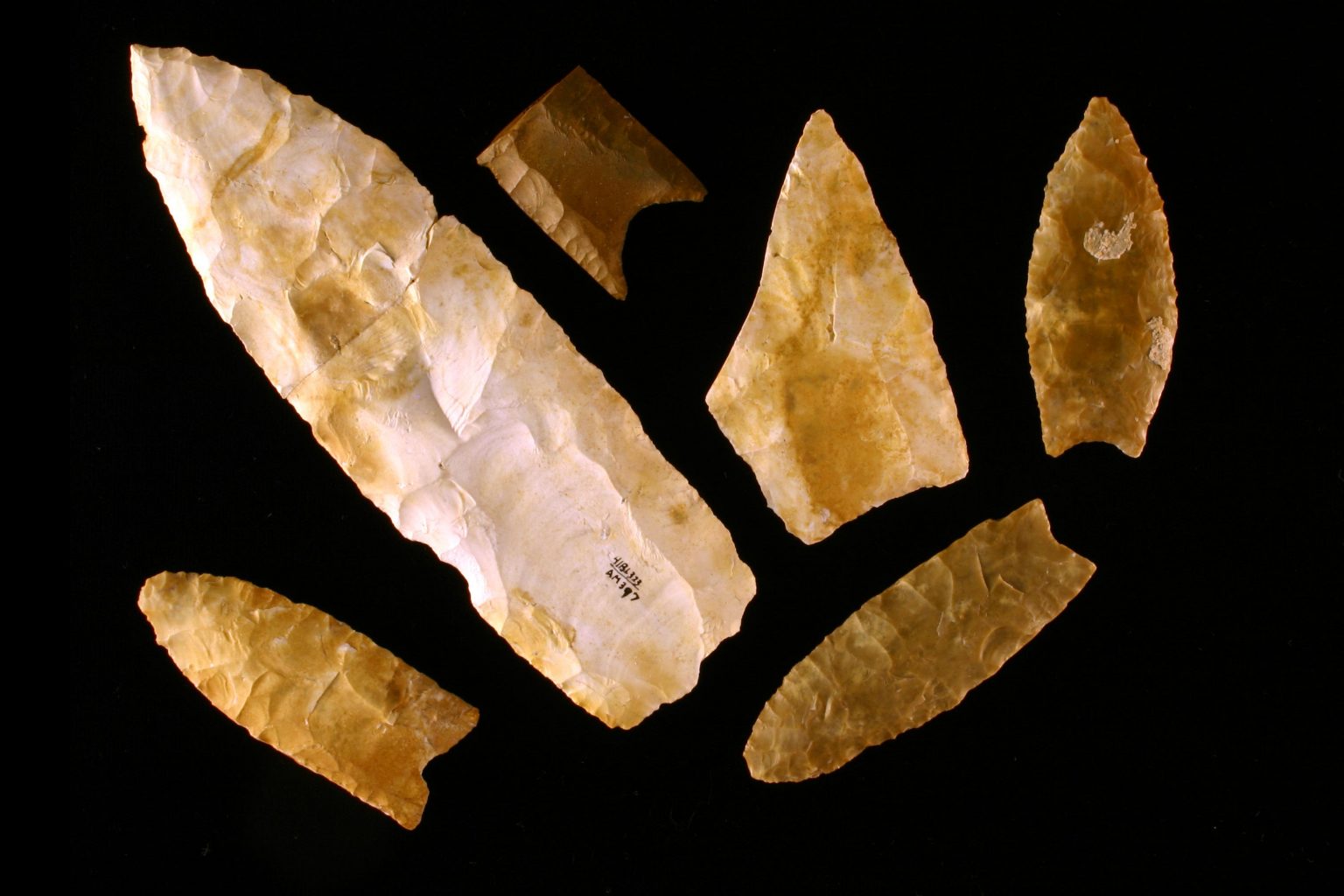  Five ancient spear points made from stone in a preClovis culture.