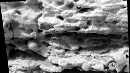 Clues to Wet History in Texture of a Martian Rock