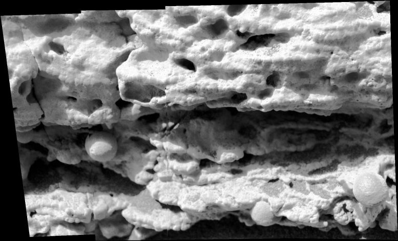 Clues to Wet History in Texture of a Martian Rock