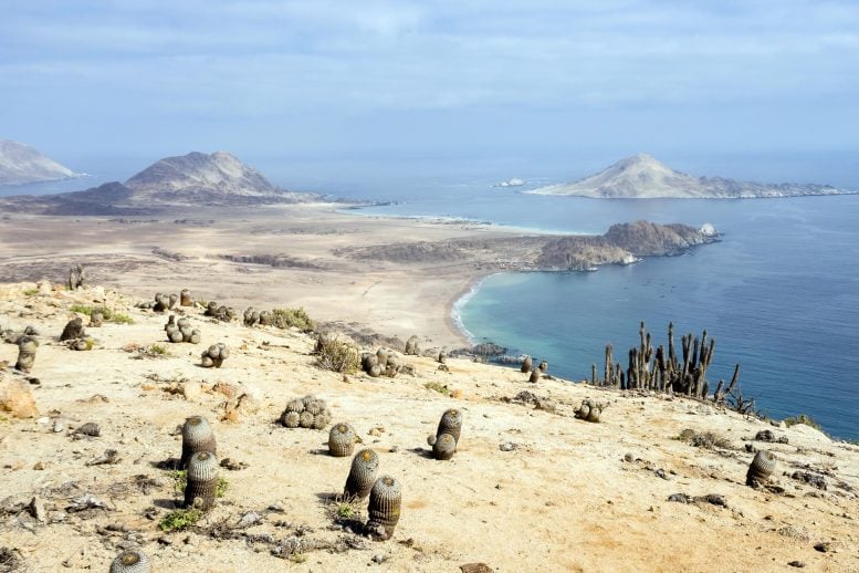 Coastal Desert