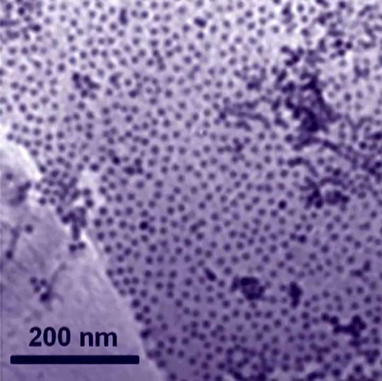 Cobalt-Graphene Nanoparticle Catalyst
