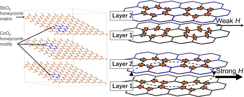 Cobalt Honeycomb Structure Quantum Computing