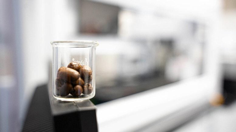 Bahan makanan umum, termasuk kafein, melemahkan antibiotik 1 Biji kopi di depan robot pipetting