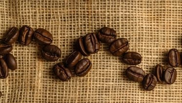 Scientists Sequence Arabica Genome, Opening Doors to Climate-Resilient Coffee