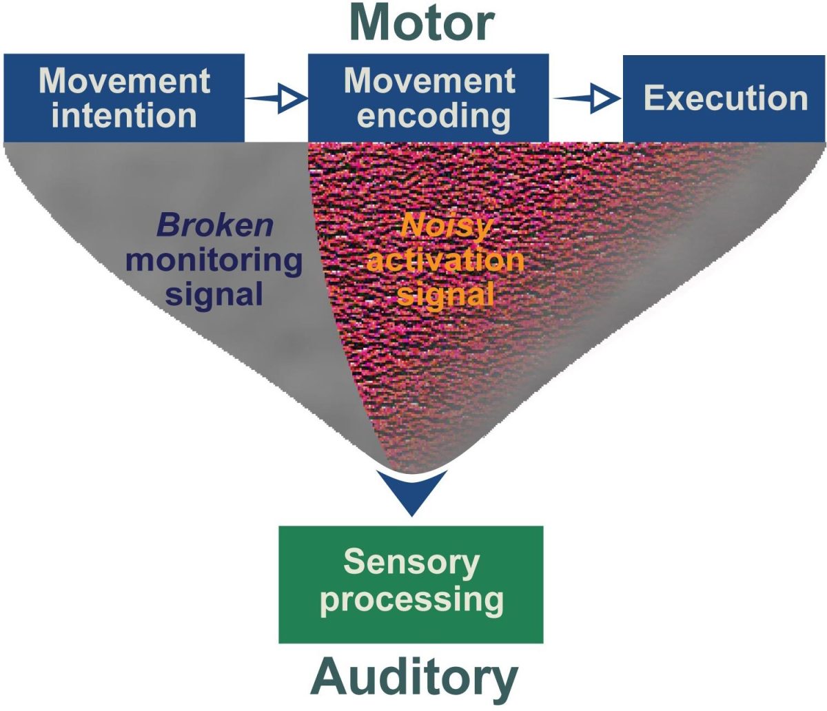 Why Do Some People “Hear Voices”? A Look Inside the Schizophrenic Brain