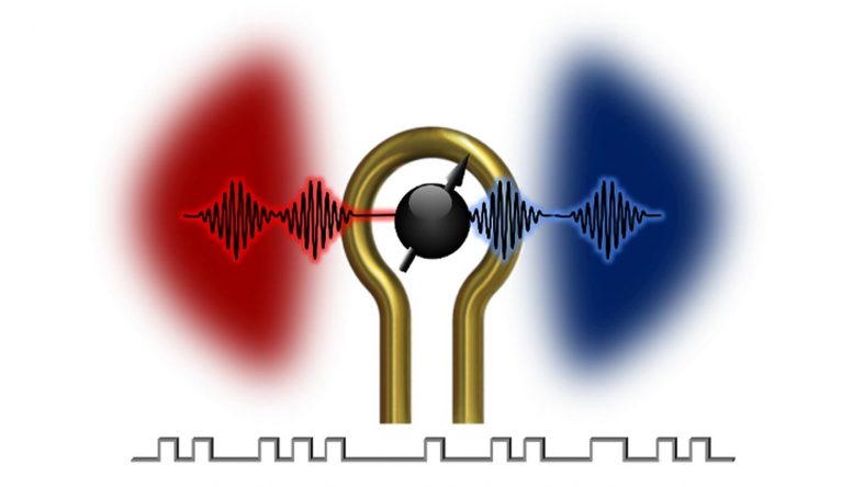 Coherent Information Exchange Between Magnons and Microwave Photons