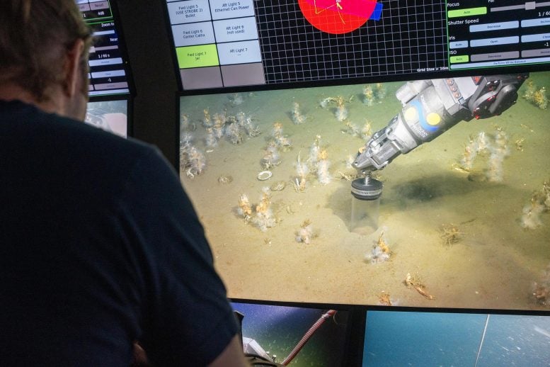 Collecting Microbial Metagenomes Shallow Coastal Sediments