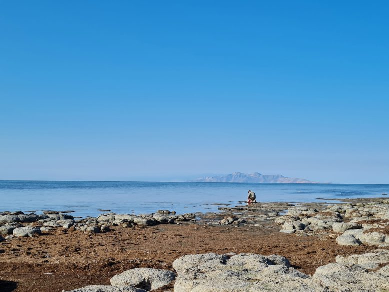 Collecting Nematodes Great Salt Lake