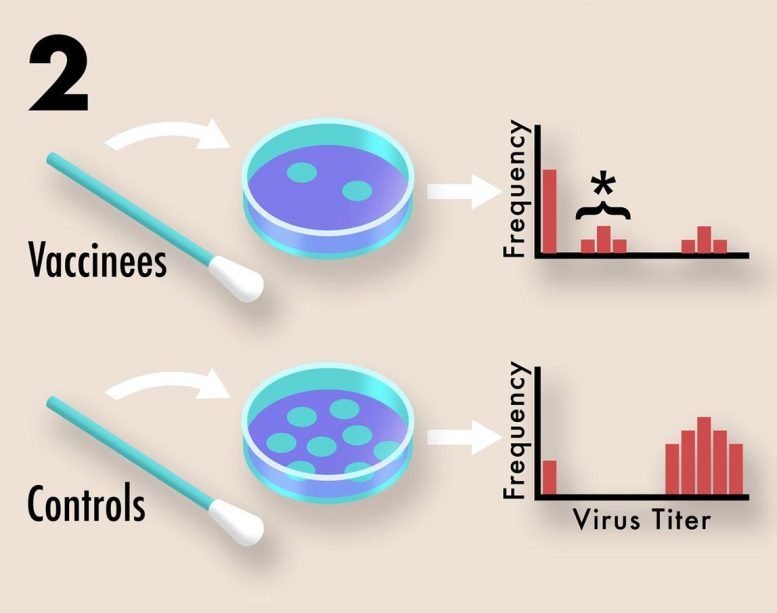 Collecting Viral Titer Data
