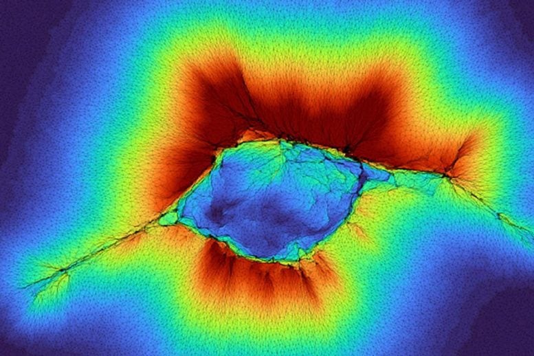 Collective Cell Clusters Sensing Collagen Deformation in Tissue Model