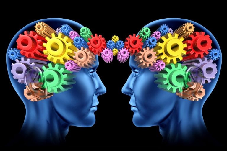 Complementary Cognition: The Evolution of Collective Intelligence