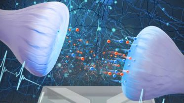 Scientists Create First Brain-like Computer Using Water and Salt