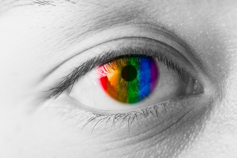 Color Blindness Correct Contact Lense Artists Concept