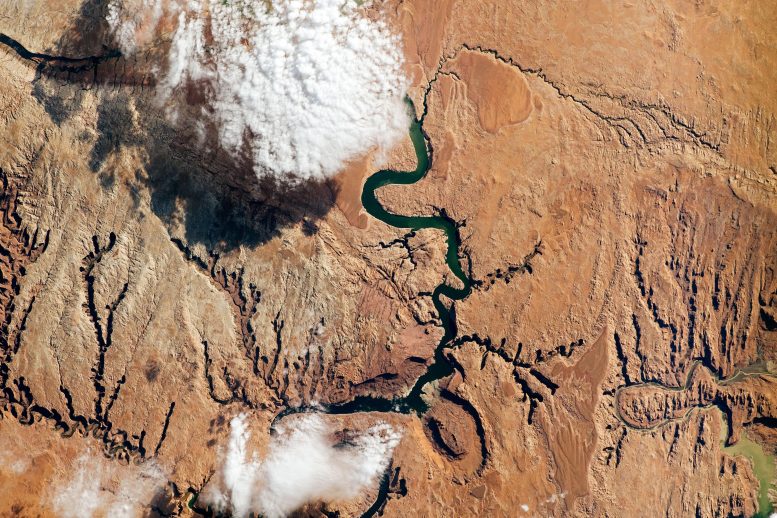 Colorado River Southeastern Utah From Space