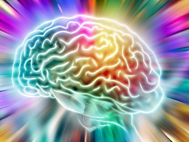 Colorful Brain Boost Concept Illustration