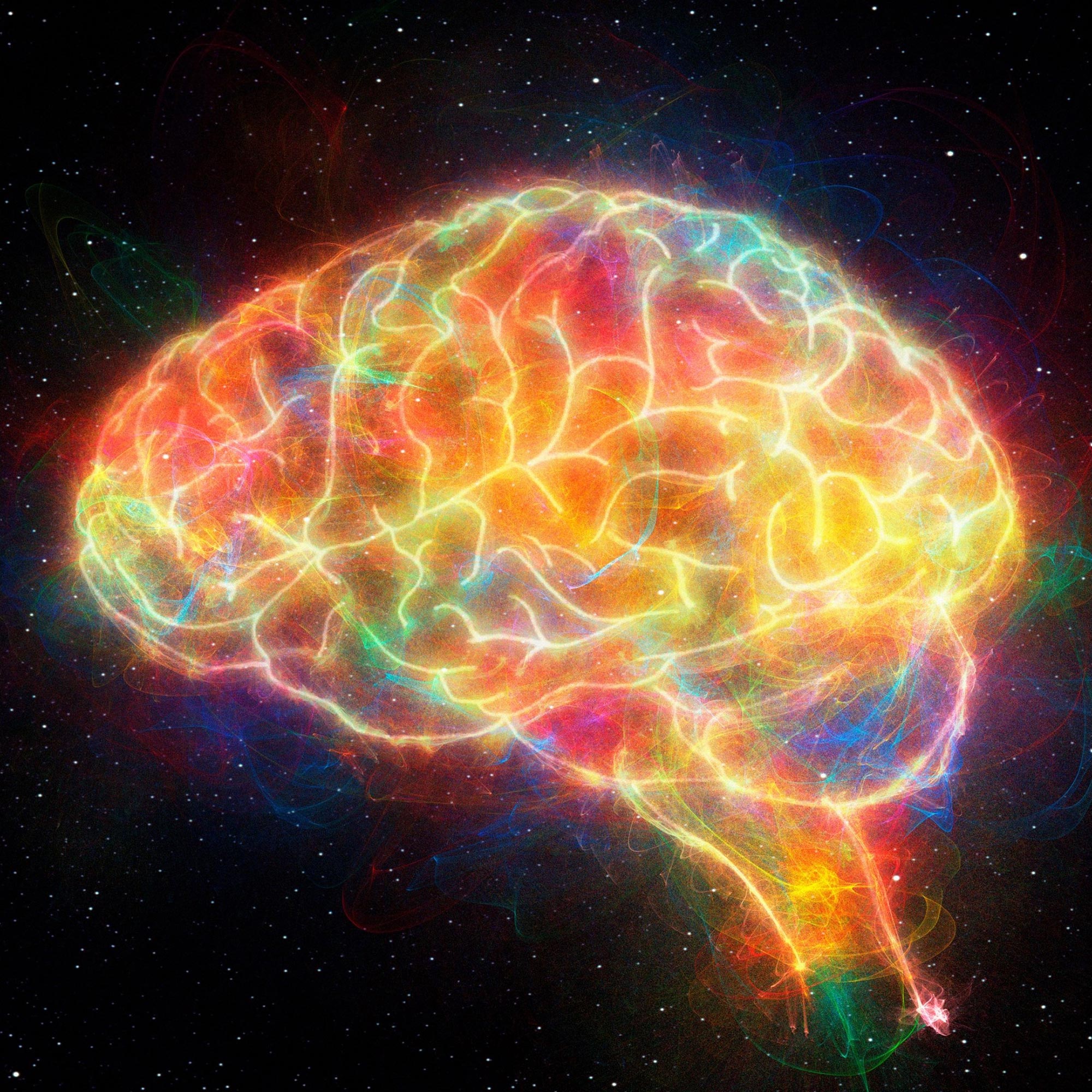 Красочная иллюстрация человеческого мозга