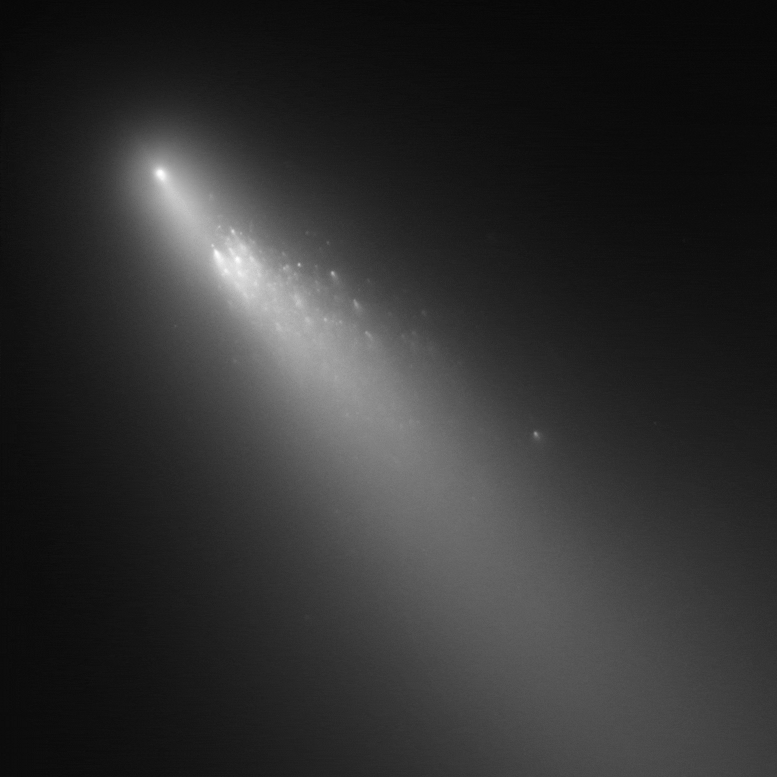 Comet 73P/Schwassmann Wachmann