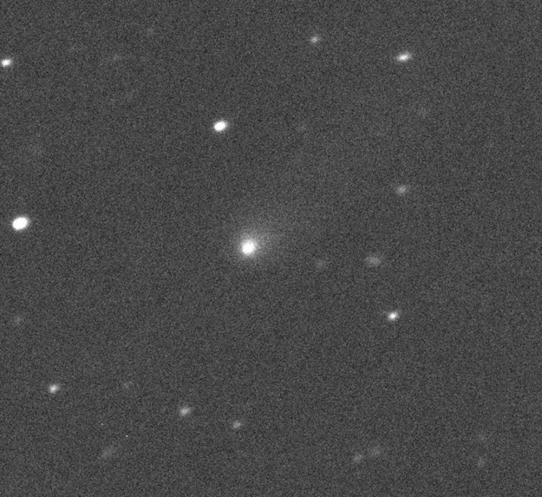 Comet C2019 Q4