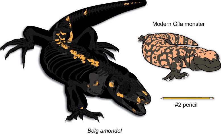 Comparison of Bolg Amondol vs a Modern Gila Monster