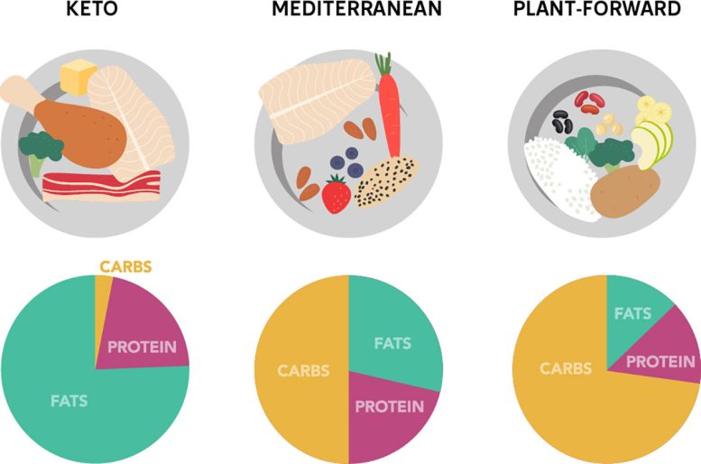 Comparison of Keto, Mediterranean, and Plant Forward Diets